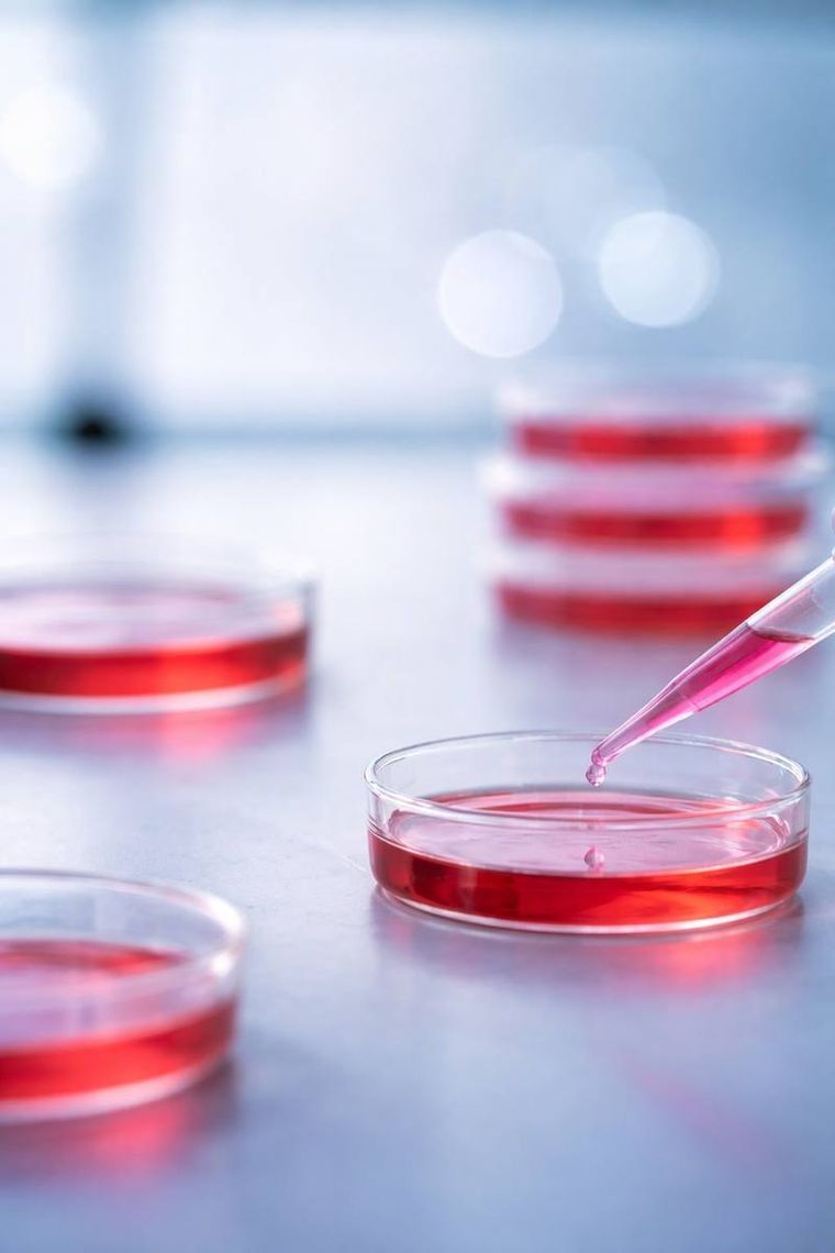 Pipetting into a culture plate